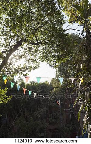 A string of multi colored flags hanging amongst trees in a backyard View Large Photo Image Stock Image - A string of multi colored flags hanging amongst trees in a backyard. Fotosearch