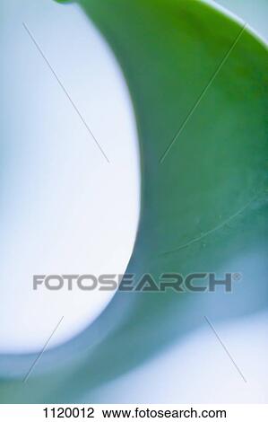 Abstract colored forms and light View Large Photo Image Stock Image - Abstract colored forms and light. Fotosearch