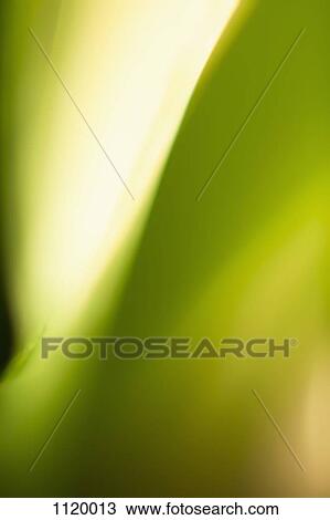 Stock Image - Abstract colored forms and light. Fotosearch