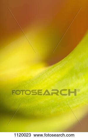 Abstract colored forms and light View Large Photo Image Stock Image - Abstract colored forms and light. Fotosearch