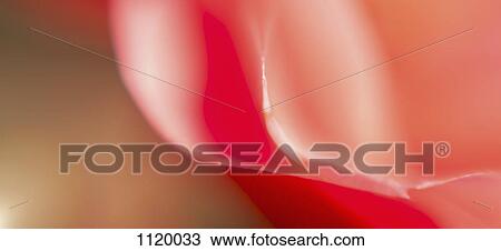 Abstract colored forms and light View Large Photo Image Stock Image - Abstract colored forms and light. Fotosearch