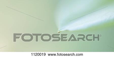 Abstract colored forms and light View Large Photo Image Stock Photo - Abstract colored forms and light. Fotosearch