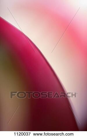 Abstract colored forms and light View Large Photo Image Stock Photo - Abstract colored forms and light. Fotosearch