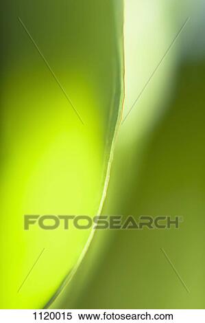 Abstract colored forms and light View Large Photo Image Stock Photography - Abstract colored forms and light. Fotosearch