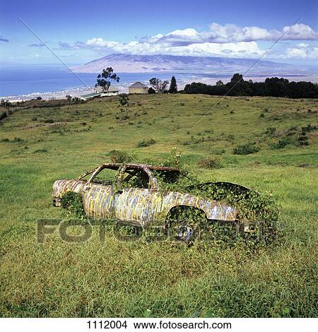 Picture - An abandoned car with ivy growing in and around it. Fotosearch