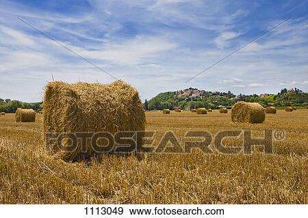 Stock Photo - Bales of hay outside the of Drome, France. Fotosearch