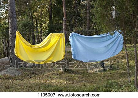 Bed sheet hanging on a clothes line View Large Photo Image Stock Photo - Bed sheet hanging on a clothes line. Fotosearch