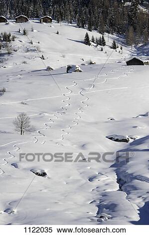 Curvy snow tracks View Large Photo Image Stock Photography - Curvy snow tracks. Fotosearch