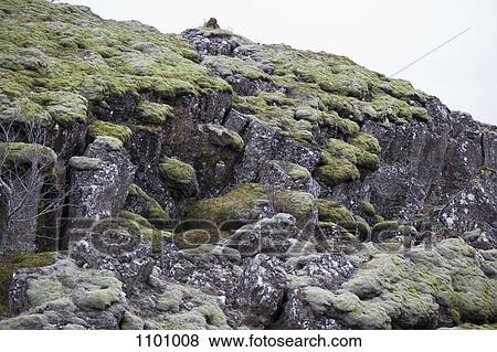 Detail of a rocky cliffs View Large Photo Image Stock Photo - Detail of a rocky cliffs. Fotosearch