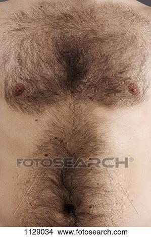 Detail of the chest of a man View Large Photo Image Picture - Detail of the chest of a man. Fotosearch