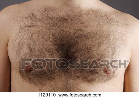 Detail of the chest of a man View Large Photo Image Stock Image - Detail of the chest of a man. Fotosearch