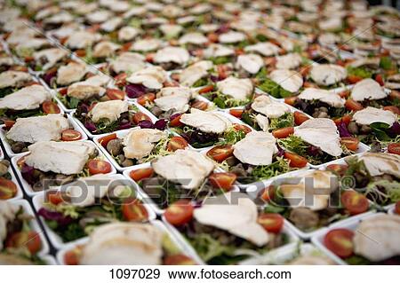 Dishes of salad arranged in rows View Large Photo Image Stock Photo - Dishes of salad arranged in rows. Fotosearch