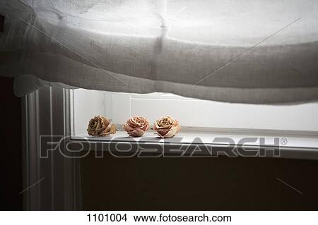 Dried roses on a windowsill View Large Photo Image Picture - Dried roses on a windowsill. Fotosearch