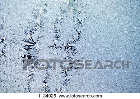 Feathered ice crystals View Large Photo Image Stock Photography - Feathered ice crystals. Fotosearch