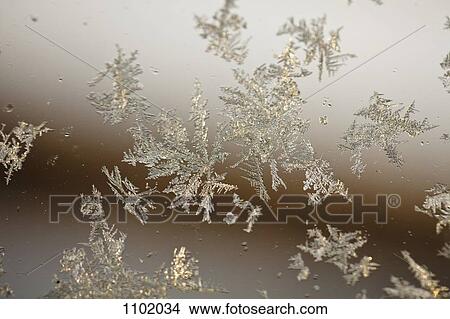 Frost on a window View Large Photo Image Picture - Frost on a window. Fotosearch
