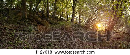 Stock Photo - Giant's Grave (Huenengrab) in Hessen, Germany. Fotosearch