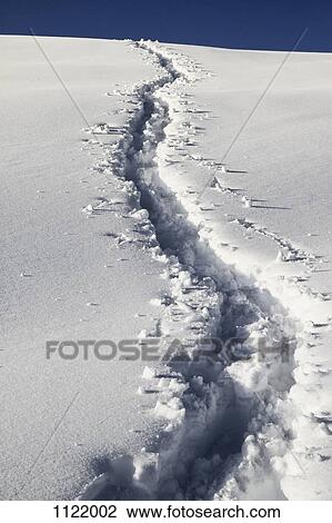 Human trail on snow View Large Photo Image Stock Image - Human trail on snow. Fotosearch