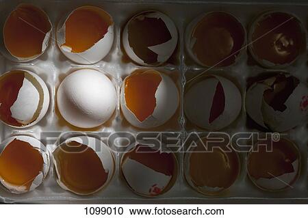 One whole egg amongst many broken eggs View Large Photo Image Stock Image - One whole egg amongst many broken eggs. Fotosearch