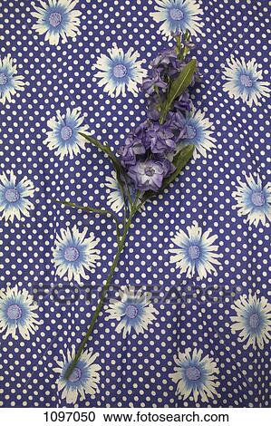Purple flowers on floral fabric View Large Photo Image Stock Image - Purple flowers on floral fabric. Fotosearch