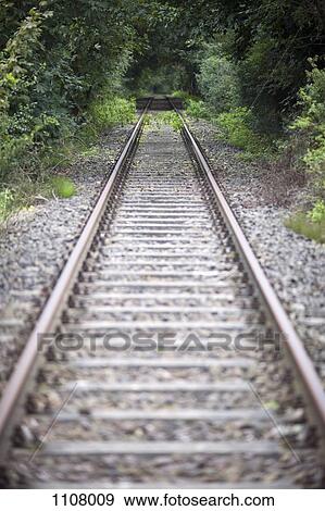 Stock Photo - Railroad tracks in a wooded area. Fotosearch