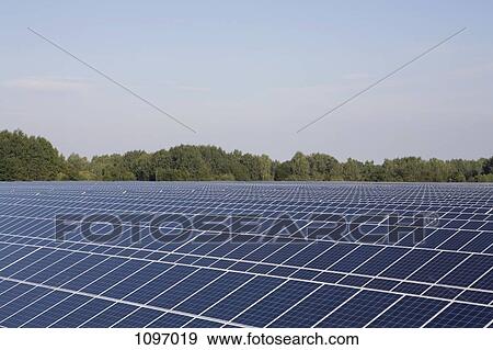 Rows of solar panels in a field View Large Photo Image Stock Photo - Rows of solar panels in a field. Fotosearch