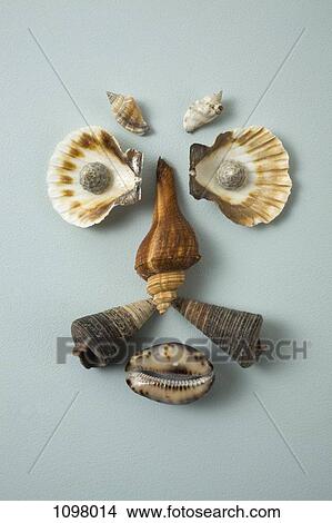 Seashells arranged into a face View Large Photo Image Picture - Seashells arranged into a face. Fotosearch