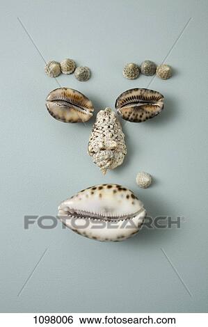 Seashells arranged into a face View Large Photo Image Stock Photograph - Seashells arranged into a face. Fotosearch