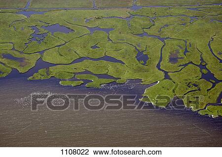 Several rivers flowing into a body of water, aerial view View Large Photo Image Stock Image - Several rivers flowing into a body of water, aerial view. Fotosearch