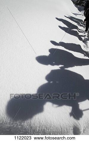 Shadows of hikers against a blanket of snow View Large Photo Image Stock Image - Shadows of hikers against a blanket of snow. Fotosearch