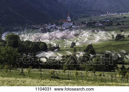 Stock Image - Sprinklers in Vinschgau valley, South Tirol, Italy. Fotosearch
