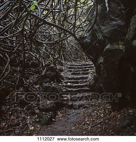 Stone steps, Maui, Hawaii View Large Photo Image Stock Photo - Stone steps, Maui, Hawaii. Fotosearch