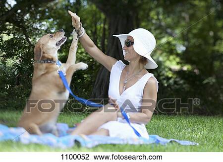 Well dressed woman playing with her dog in park View Large Photo Image Stock Image - Well dressed woman playing with her dog in park. Fotosearch