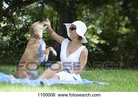 Well dressed woman playing with her dog in park View Large Photo Image Stock Photograph - Well dressed woman playing with her dog in park. Fotosearch