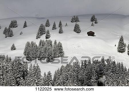 Winter chalet amidst the trees on snowy hill View Large Photo Image Stock Photography - Winter chalet amidst the trees on snowy hill. Fotosearch
