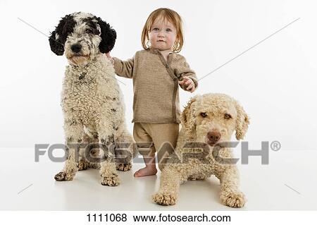 A baby girl with two dogs View Large Photo Image Stock Photo - A baby girl with two dogs. Fotosearch