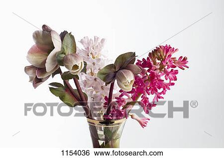 Stock Photograph - A bouquet of flowers, including Lenten roses (Helleborus orientalis) and hyacinth. Fotosearch