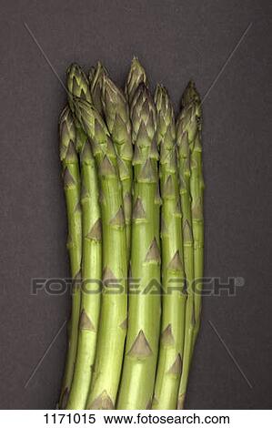 A bunch of asparagus, close-up View Large Photo Image Stock Photography - A bunch of asparagus, close-up. Fotosearch