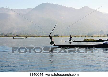 A Burmese fisherman swinging a stick on the end of a boat View Large Photo Image Picture - A Burmese fisherman swinging a stick on the end of a boat. Fotosearch