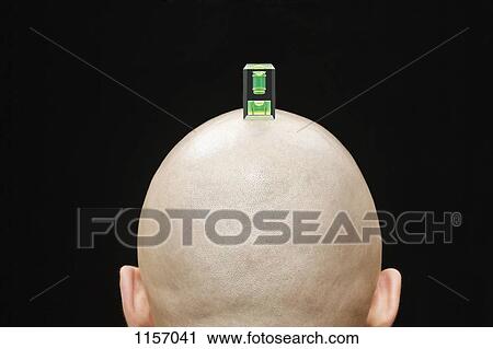 A camera spirit level on the head of a man, rear view View Large Photo Image Stock Image - A camera spirit level on the head of a man, rear view. Fotosearch