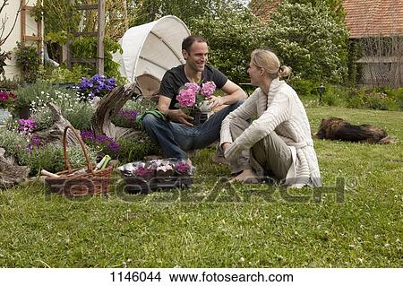A couple gardening in their backyard View Large Photo Image Picture - A couple gardening in their backyard. Fotosearch