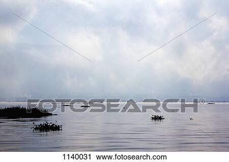 A dramatic cloudscape on Inle Lake, Burma, with a lone person on a boat in distance View Large Photo Image Stock Image - A dramatic cloudscape on Inle Lake, Burma, with a lone person on a boat in distance. Fotosearch