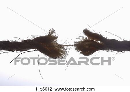 A fraying rope, back lit View Large Photo Image Stock Image - A fraying rope, back lit. Fotosearch