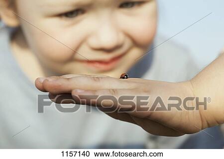 A girl looking at a ladybug on the hand of a person View Large Photo Image Stock Image - A girl looking at a ladybug on the hand of a person. Fotosearch
