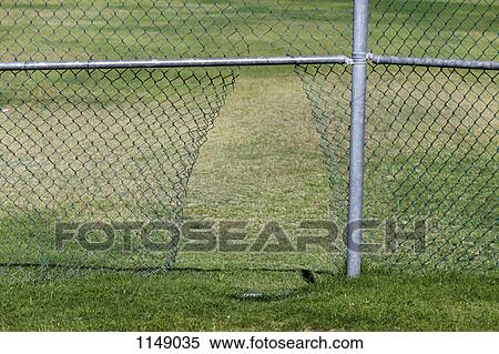 A hole in a chainlink fence View Large Photo Image Stock Photography - A hole in a chainlink fence. Fotosearch