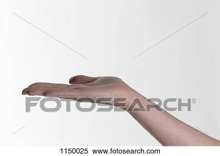 A human hand outstretched palm up View Large Photo Image Stock Photography - A human hand outstretched palm up. Fotosearch