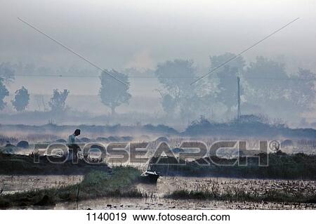 A man walking in the morning, Inle Lake, Burma View Large Photo Image Stock Photo - A man walking in the morning, Inle Lake, Burma. Fotosearch