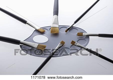 A new clean palette with new clean various sized paintbrushes View Large Photo Image Stock Photo - A new clean palette with new clean various sized paintbrushes. Fotosearch