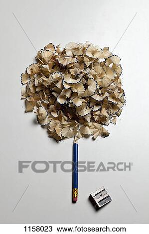 Stock Image - A pencil and pencil shavings made to look like a tree. Fotosearch