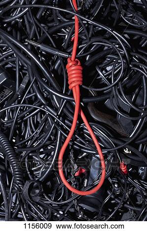 A red cord tied into a noose amongst tangled black cables and cords View Large Photo Image Stock Photo - A red cord tied into a noose amongst tangled black cables and cords. Fotosearch