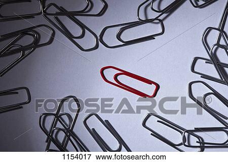 A red paperclip separated from silver paperclips View Large Photo Image Stock Photo - A red paperclip separated from silver paperclips. Fotosearch